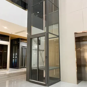 Grey Platform Villa Elevator