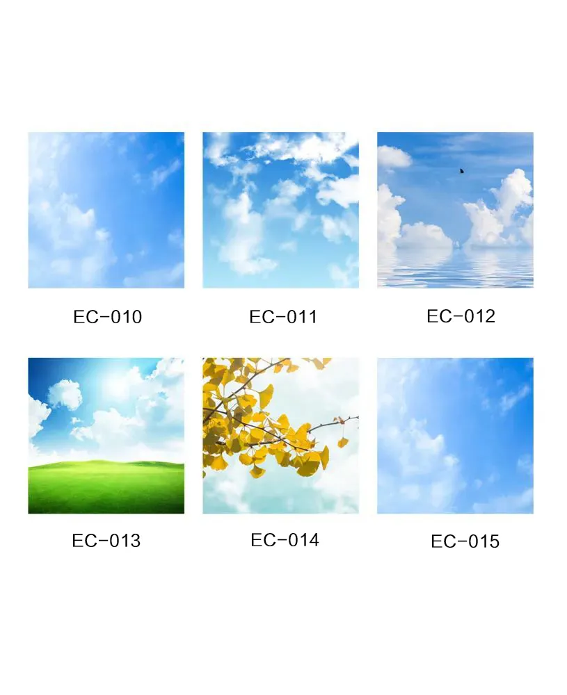 Elevator Ceiling EC-010~015