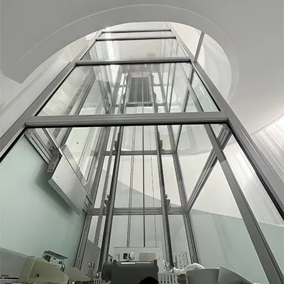 Traction Gantry Frame Type Home Villa Elevator