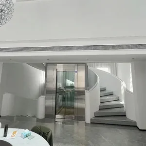 Traction Gantry Frame Type Home Villa Elevator