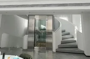 Traction Gantry Frame Type Home Villa Elevator